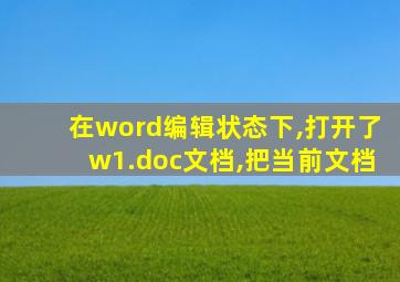 在word编辑状态下,打开了w1.doc文档,把当前文档