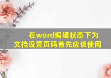 在word编辑状态下为文档设置页码首先应该使用