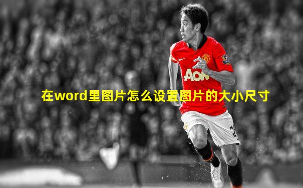在word里图片怎么设置图片的大小尺寸