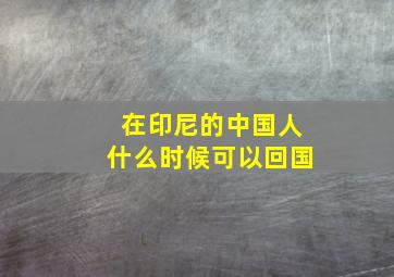 在印尼的中国人什么时候可以回国