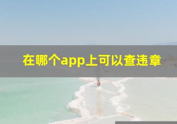 在哪个app上可以查违章