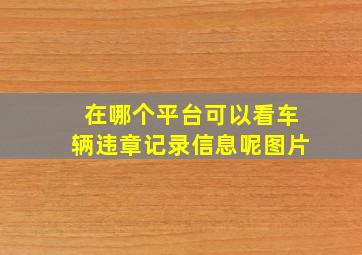 在哪个平台可以看车辆违章记录信息呢图片