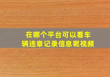 在哪个平台可以看车辆违章记录信息呢视频