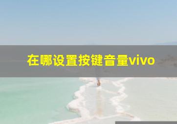 在哪设置按键音量vivo