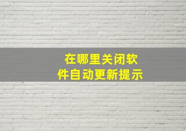 在哪里关闭软件自动更新提示