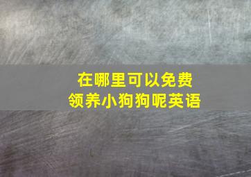 在哪里可以免费领养小狗狗呢英语