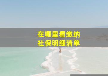 在哪里看缴纳社保明细清单