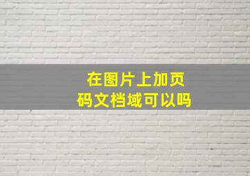 在图片上加页码文档域可以吗