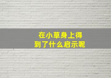 在小草身上得到了什么启示呢