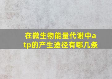 在微生物能量代谢中atp的产生途径有哪几条