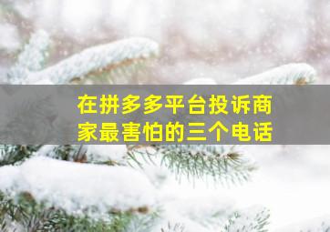 在拼多多平台投诉商家最害怕的三个电话