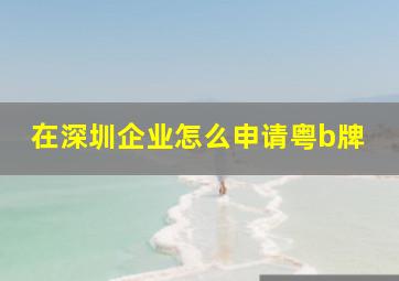 在深圳企业怎么申请粤b牌