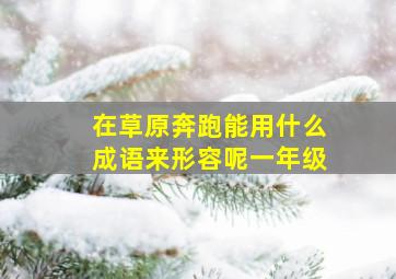 在草原奔跑能用什么成语来形容呢一年级