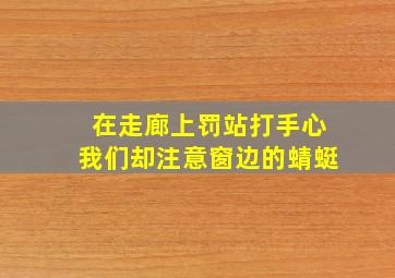 在走廊上罚站打手心我们却注意窗边的蜻蜓