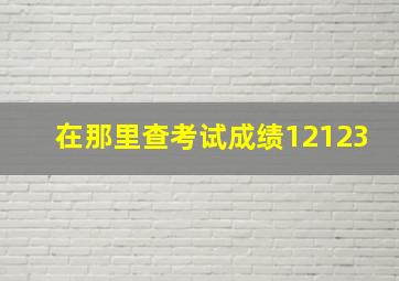 在那里查考试成绩12123