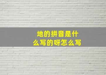 地的拼音是什么写的呀怎么写