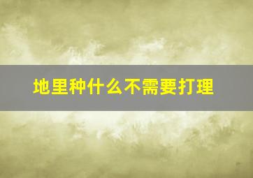 地里种什么不需要打理