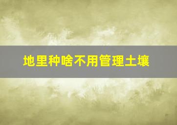 地里种啥不用管理土壤