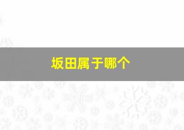 坂田属于哪个