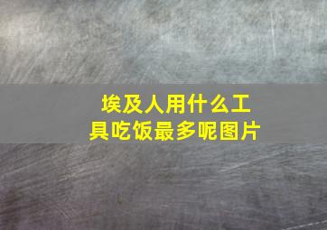 埃及人用什么工具吃饭最多呢图片