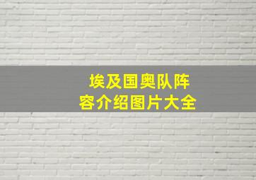 埃及国奥队阵容介绍图片大全