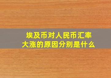 埃及币对人民币汇率大涨的原因分别是什么