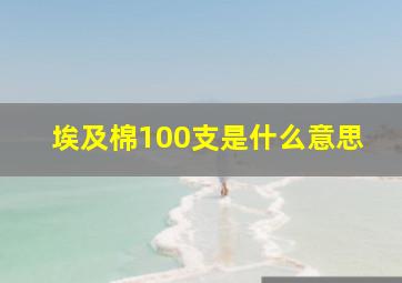 埃及棉100支是什么意思