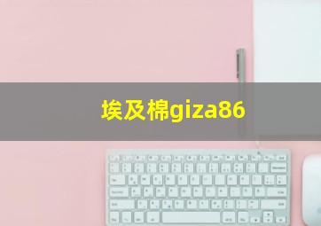 埃及棉giza86