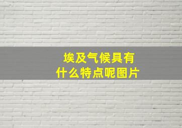 埃及气候具有什么特点呢图片