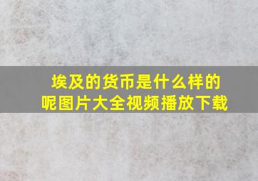 埃及的货币是什么样的呢图片大全视频播放下载