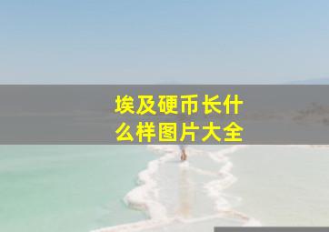 埃及硬币长什么样图片大全