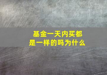 基金一天内买都是一样的吗为什么