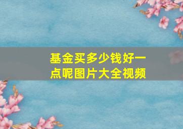 基金买多少钱好一点呢图片大全视频