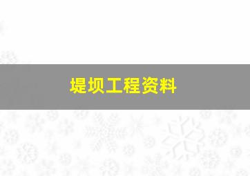 堤坝工程资料