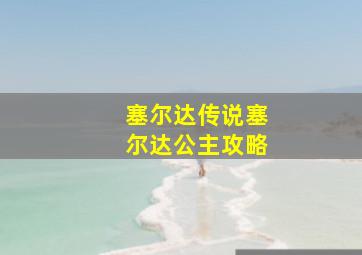 塞尔达传说塞尔达公主攻略