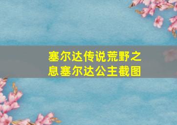 塞尔达传说荒野之息塞尔达公主截图