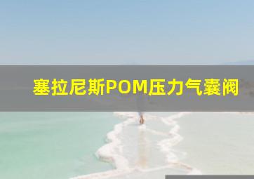 塞拉尼斯POM压力气囊阀