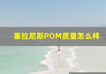 塞拉尼斯POM质量怎么样