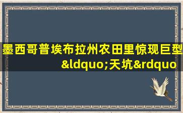 墨西哥普埃布拉州农田里惊现巨型“天坑”