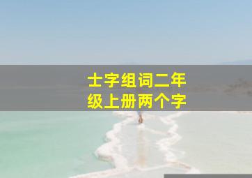 士字组词二年级上册两个字