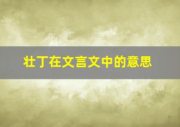 壮丁在文言文中的意思