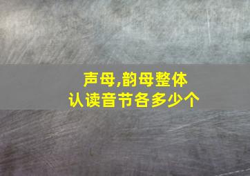 声母,韵母整体认读音节各多少个