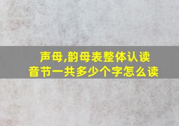 声母,韵母表整体认读音节一共多少个字怎么读