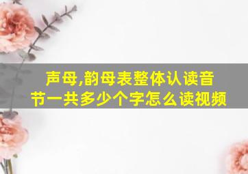 声母,韵母表整体认读音节一共多少个字怎么读视频