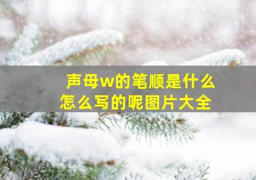 声母w的笔顺是什么怎么写的呢图片大全