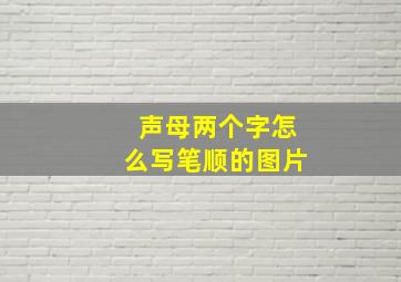 声母两个字怎么写笔顺的图片