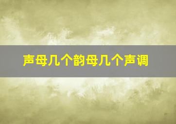 声母几个韵母几个声调