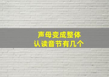 声母变成整体认读音节有几个