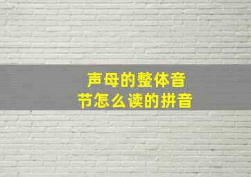 声母的整体音节怎么读的拼音