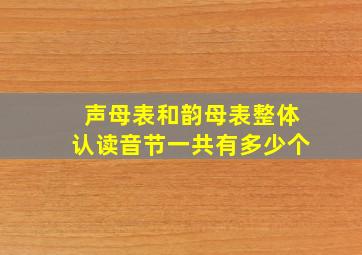 声母表和韵母表整体认读音节一共有多少个